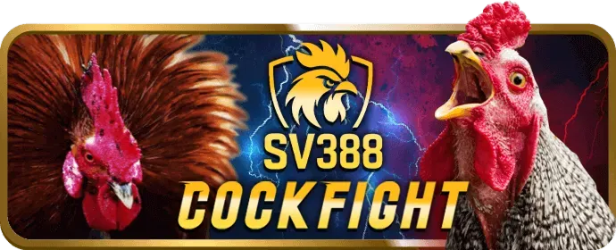 Tính Năng Nổi Bật Game Bắn Cá 888to27