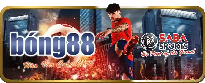 Trải nghiệm người dùng tối ưu 888to27